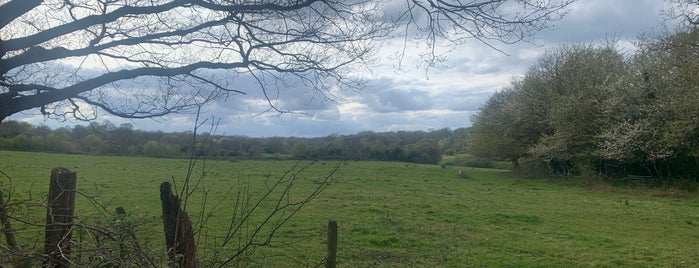 Scadbury Park Nature Reserve is one of London Places.