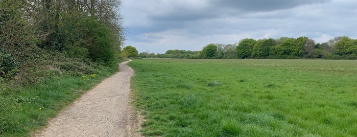 Riddlesdown Common is one of parkrun - London and the South East.