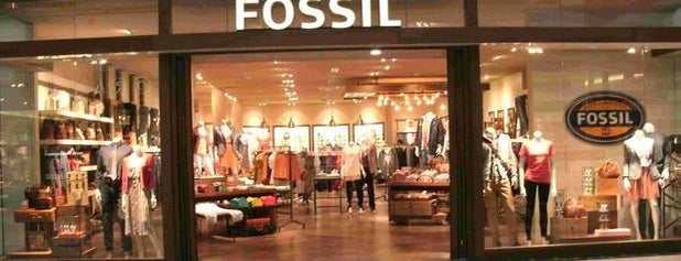 Fossil Store is one of buffalo interest.