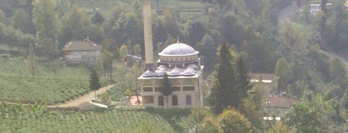Yavuz Selim Camii is one of İbadethane.
