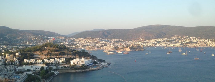 Mavi Otel Bodrum is one of Orte, die Ender gefallen.