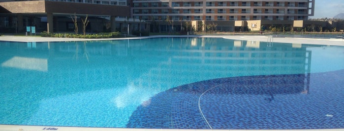 Elexus Hotel Resort Casino & Spa is one of Ender'in Beğendiği Mekanlar.