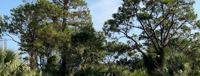 Kiawah Beach is one of Charleston Tourism.