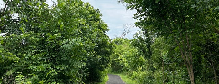 Four Mile Run Park is one of Shirlington.