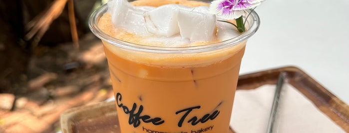 Coffee Tree is one of ราชบุรี叻丕府.