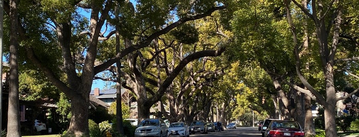 “He’s A Peeping Tom!” Tree (Back To The Future) is one of Lieux qui ont plu à Bigmac.