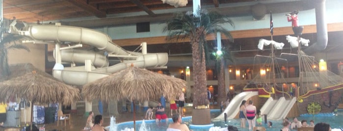 Ramada Tropics Resort / Conference Center Des Moines is one of Posti che sono piaciuti a Delyn.