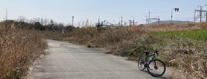 桂川、宇治川、木津川、三川合流地域 is one of その他.