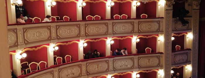 Teatro Comunale is one of Teatri.