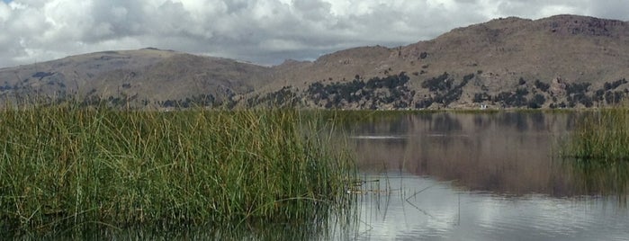 Lake Titicaca is one of Oh, the places you'll go!.