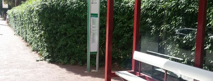 Bus Stops