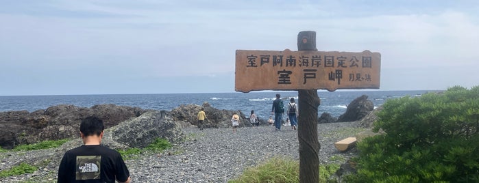 室戸岬展望台 is one of 自然地形.