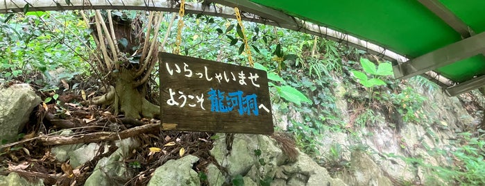 龍河洞 is one of 自然地形.