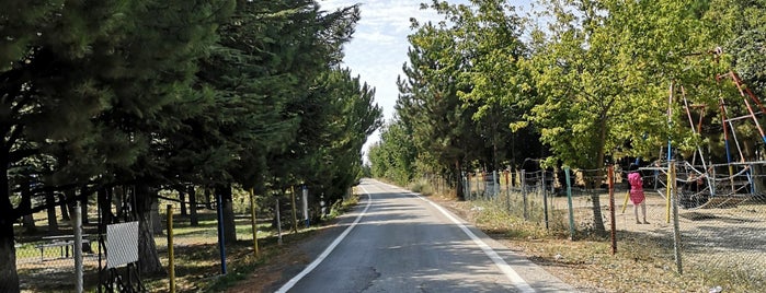 Bademlik Dinlenme Tesisleri Piknik Alanı is one of Lieux qui ont plu à Sevgi.