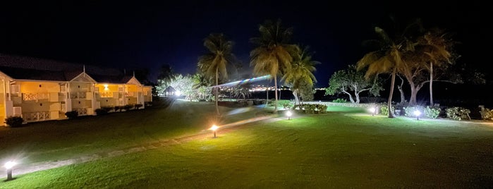 Magdalena Grand Beach Resort is one of favorite places!.