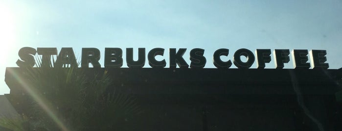 Starbucks is one of Secret gordito society.