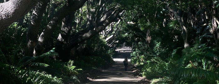 Kirstenbosch Botanical Gardens is one of Dade: сохраненные места.