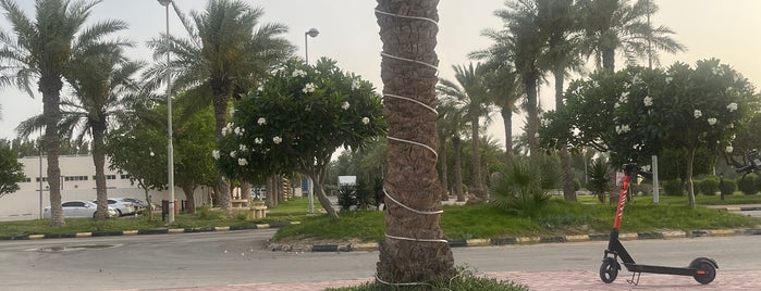 Al Nakheel Resort is one of Saudi.
