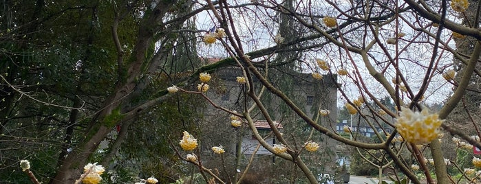 Carl S. English Jr. Botanical Garden is one of Seattle.