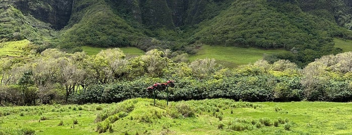 Kualoa Ranch is one of My 'round the island tour.