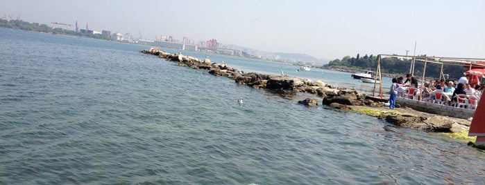 Manastir Cay Bahcesi is one of MeMo.