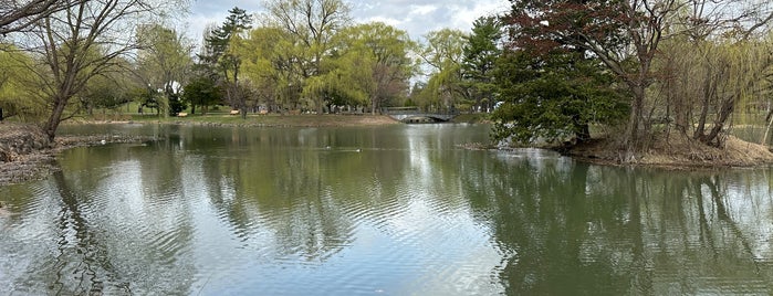 菖蒲池 is one of 公園.