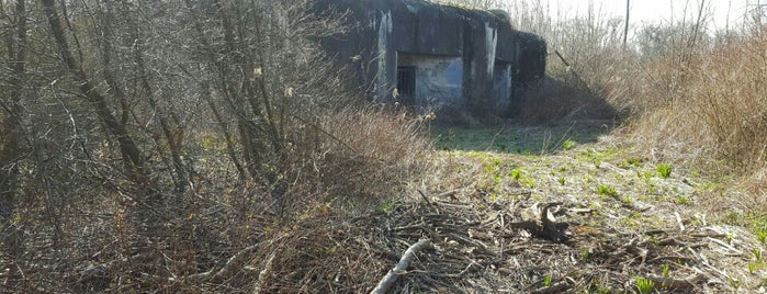 Bunker B-S-3 Paseka is one of Petržalské bunkre.
