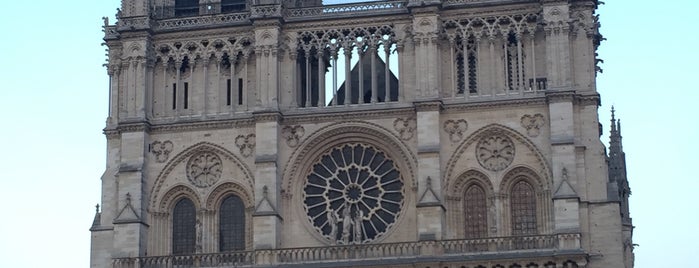 Cathédrale Notre-Dame de Paris is one of Lieux qui ont plu à María.