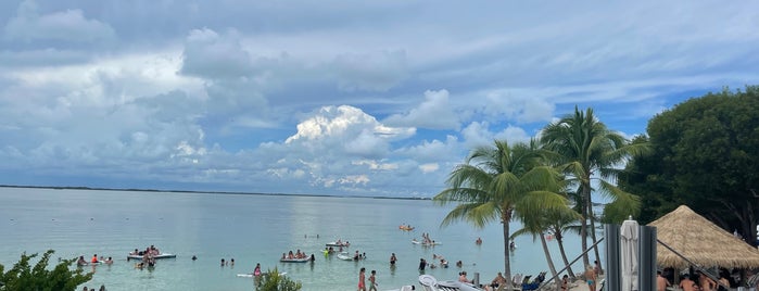Dry Rocks is one of The 15 Best Places for Dips in Key Largo.