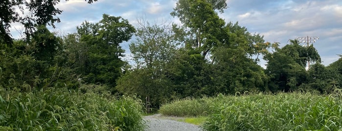 Nature's Park Café is one of Coffee places.