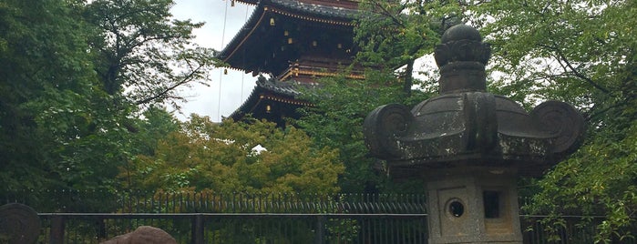 Ueno Park is one of Lugares favoritos de Zheta.