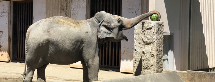 Kanazawa Zoo is one of 動物園・水族館・植物園.