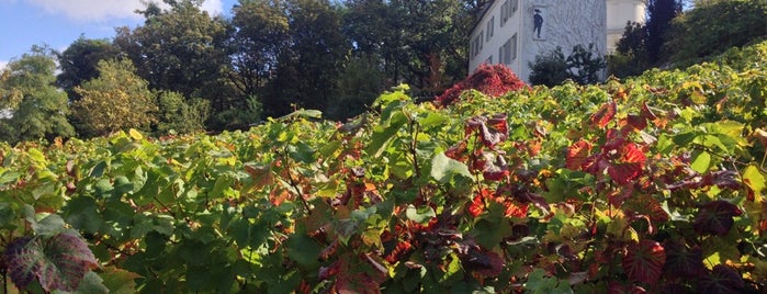 Clos Montmartre is one of To-Do in Paris.