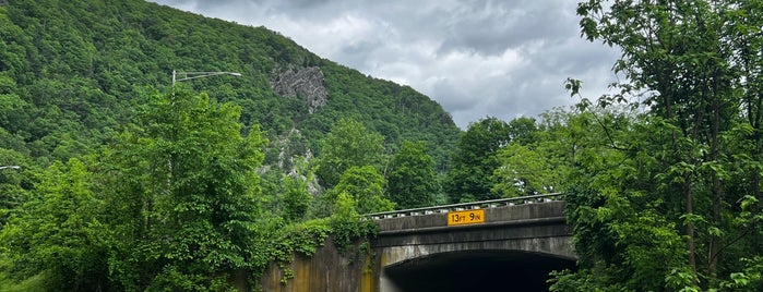 Mt. Tammany - Delaware Water Gap is one of New Jersey!.
