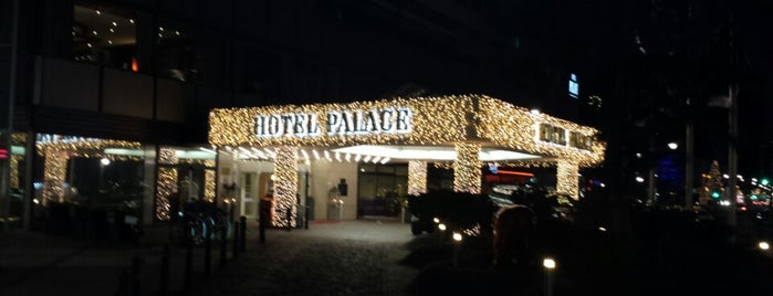 Hotel Palace Berlin is one of Locais curtidos por Meshari.