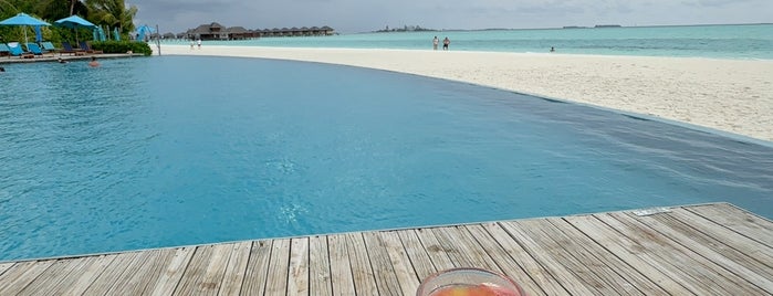 Anantara Dhigu infinity pool is one of Maldives 🇲🇻.