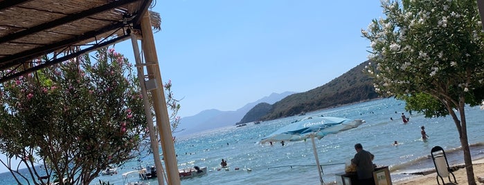 Özil, Karaincir Plajı is one of Lugares favoritos de Çağrı.