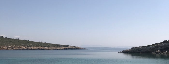 Dış Kaya Koyu is one of plaj.