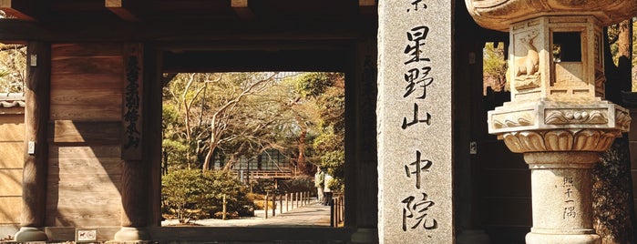 天台宗別格本山 中院 is one of 川越.