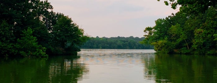 Lake Fayetteville Park is one of XNA Faves in The 'Zarks.