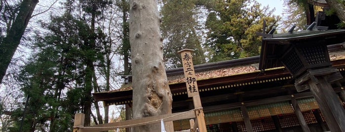 春宮 二之御柱 is one of 神社・寺4.