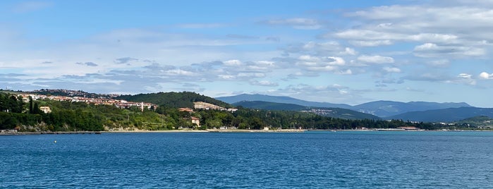 Debeli rtič is one of Adriatic Sea 🇮🇹🇸🇮.