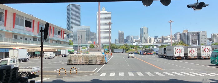 Osaka Municipal Wholesale Market Honjo is one of Osaka Trip.