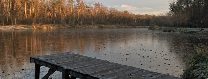 Kotsyba Lake is one of Киев.