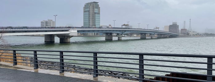 宍道湖大橋 is one of 広島-松江路線（高速バス グランドアロー編）.