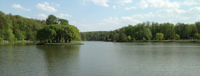 Верхний Царицынский пруд is one of Москва лето 2017.