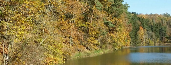Kornatický rybník is one of Lugares favoritos de Jan.