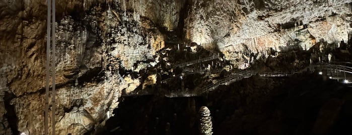 Grotta Gigante is one of salvavita.