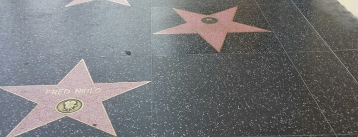 Hollywood Boulevard is one of Los Angeles to see.