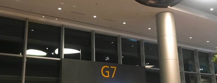 Gate G7 is one of SIN Airport Gates.